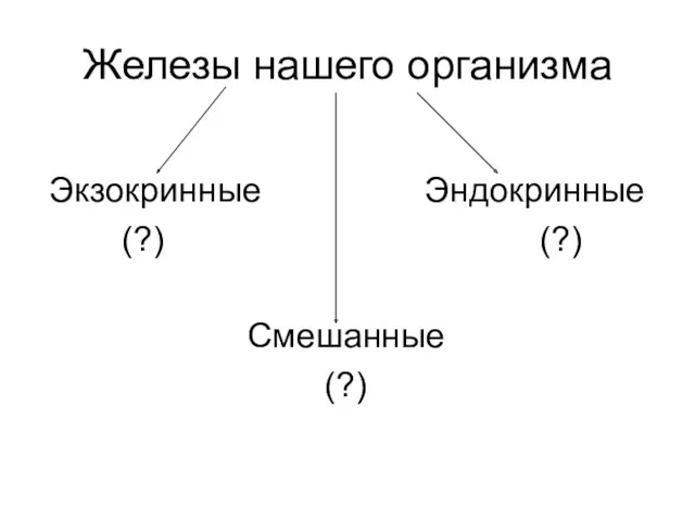 Железы нашего организма Экзокринные Эндокринные (?) (?) Смешанные (?)