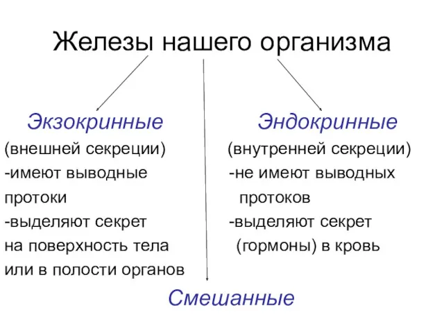 Железы нашего организма Экзокринные Эндокринные (внешней секреции) (внутренней секреции) -имеют