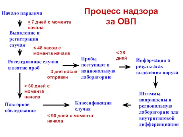 Процесс надзора за ОВП Начало паралича Выявление и регистрация случая