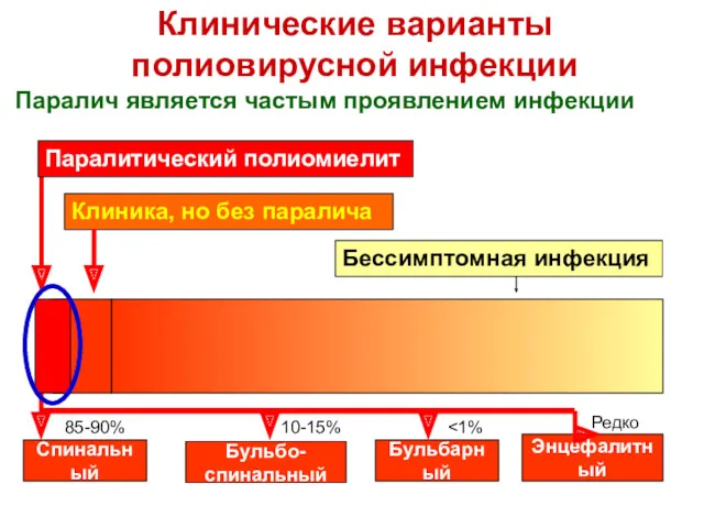 Клинические варианты полиовирусной инфекции Паралич является частым проявлением инфекции Клиника,