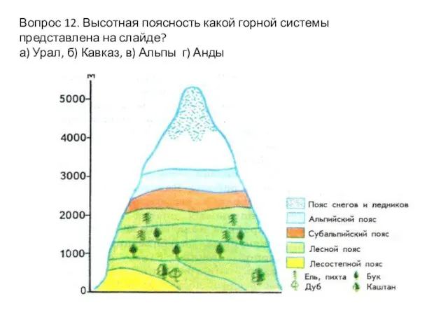 Вопрос 12. Высотная поясность какой горной системы представлена на слайде?