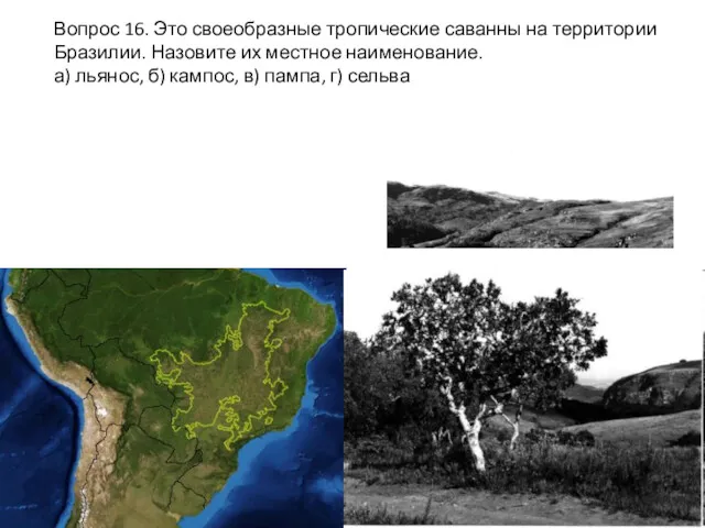 Вопрос 16. Это своеобразные тропические саванны на территории Бразилии. Назовите