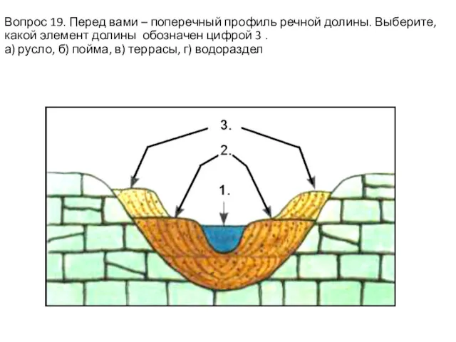 Вопрос 19. Перед вами – поперечный профиль речной долины. Выберите,