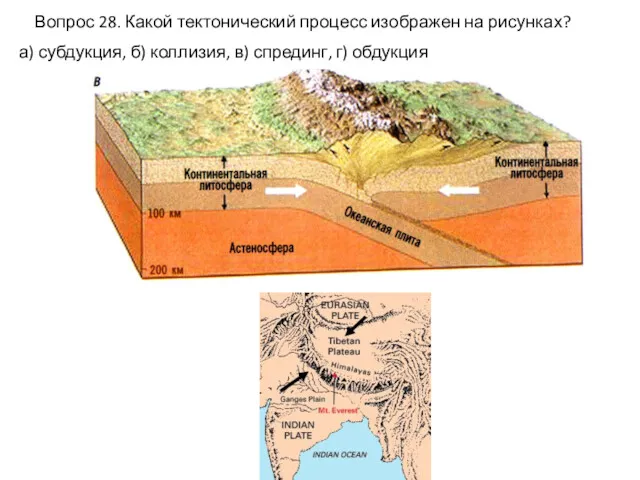Вопрос 28. Какой тектонический процесс изображен на рисунках? а) субдукция, б) коллизия, в) спрединг, г) обдукция