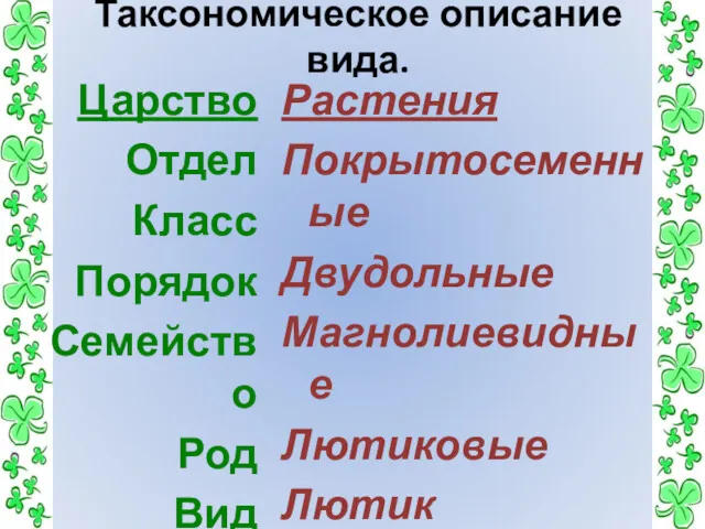 Таксономическое описание вида. Царство Отдел Класс Порядок Семейство Род Вид