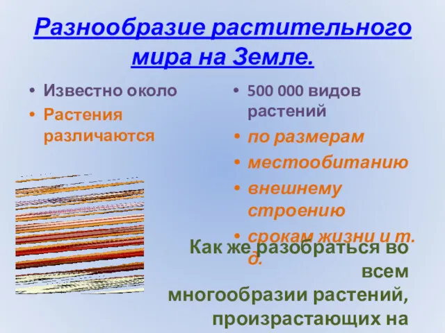 Разнообразие растительного мира на Земле. Известно около Растения различаются 500