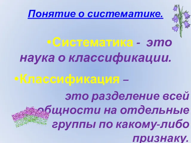 Понятие о систематике. Систематика - это наука о классификации. Классификация