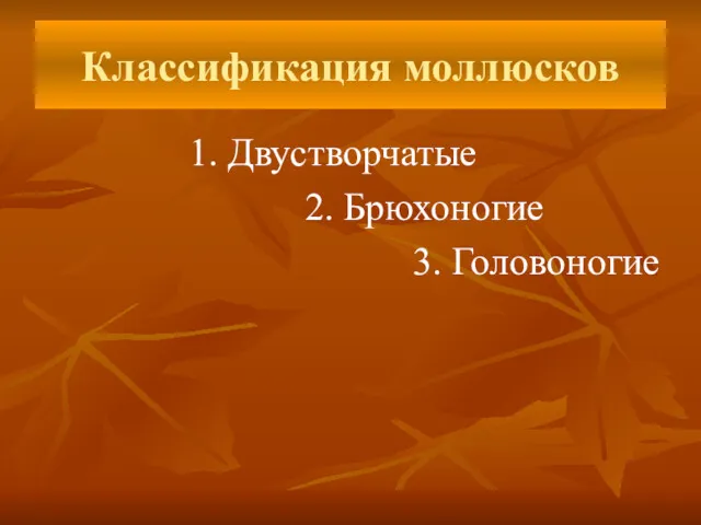 Классификация моллюсков 1. Двустворчатые 2. Брюхоногие 3. Головоногие