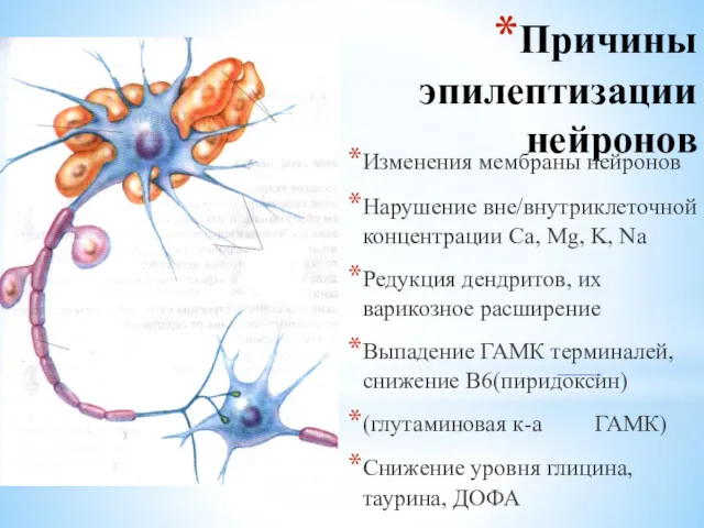 Причины эпилептизации нейронов Изменения мембраны нейронов Нарушение вне/внутриклеточной концентрации Ca,