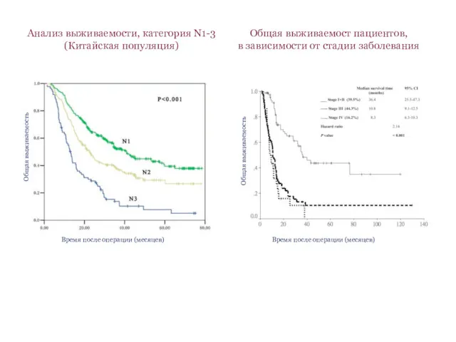 Общая выживаемость Общая выживаемость Время после операции (месяцев) Время после операции (месяцев) Анализ
