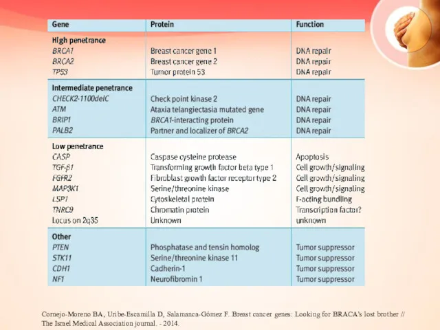 Cornejo-Moreno BA, Uribe-Escamilla D, Salamanca-Gómez F. Breast cancer genes: Looking for BRACA’s lost