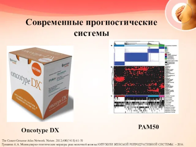 Современные прогностические системы The Cancer Genome Atlas Network. Nature. 2012;490(7418):61-70 Гришина К.А. Молекулярно-генетические