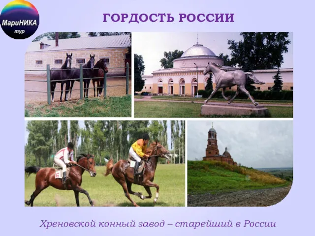 ГОРДОСТЬ РОССИИ Хреновской конный завод – старейший в России