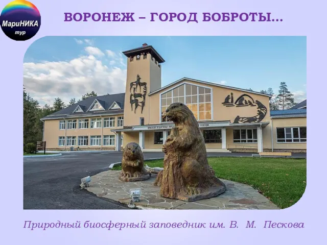 ВОРОНЕЖ – ГОРОД БОБРОТЫ… Природный биосферный заповедник им. В. М. Пескова