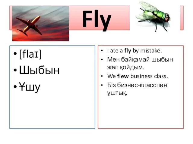 Fly [flaɪ] Шыбын Ұшу I ate a fly by mistake.