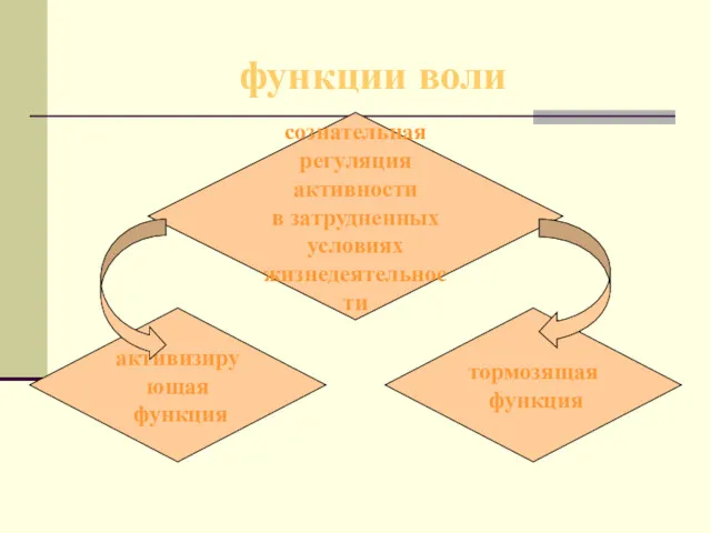 функции воли активизирующая функция сознательная регуляция активности в затрудненных условиях жизнедеятельности тормозящая функция