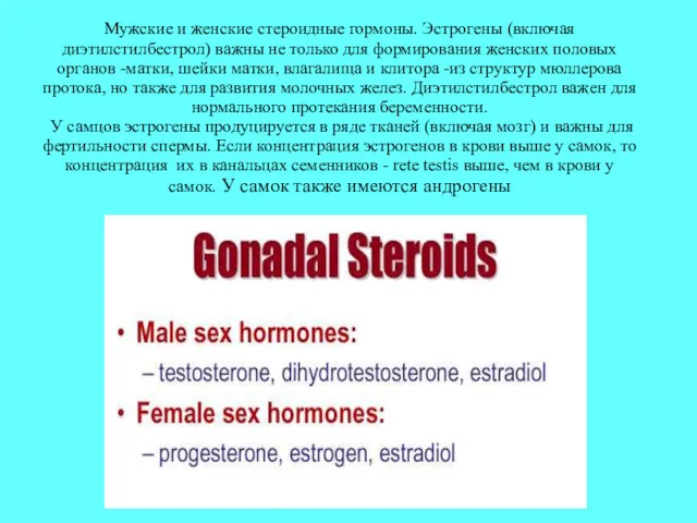 Мужские и женские стероидные гормоны. Эстрогены (включая диэтилстилбестрол) важны не