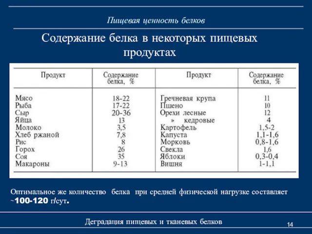 Пищевая ценность белков Деградация пищевых и тканевых белков Содержание белка