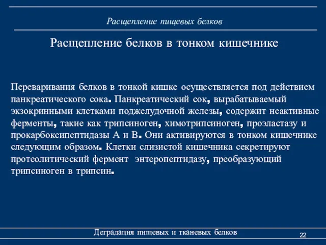 Расщепление пищевых белков Деградация пищевых и тканевых белков Расщепление белков