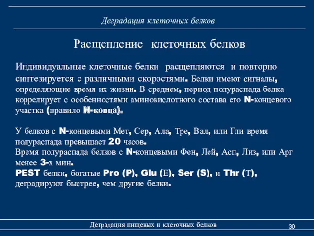 Деградация клеточных белков Деградация пищевых и клеточных белков Расщепление клеточных