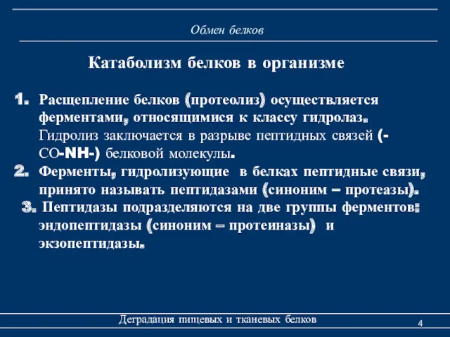 Обмен белков Деградация пищевых и тканевых белков Катаболизм белков в