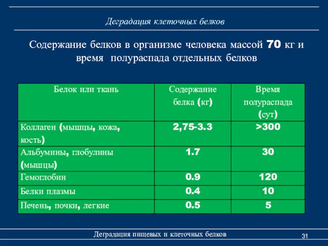 Деградация клеточных белков Деградация пищевых и клеточных белков Содержание белков