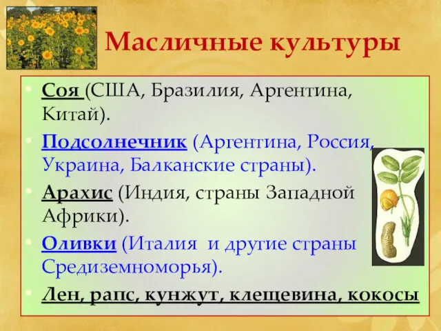 Масличные культуры Соя (США, Бразилия, Аргентина, Китай). Подсолнечник (Аргентина, Россия,