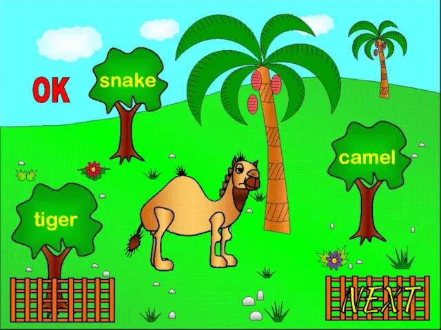 NEXT tiger snake camel OK