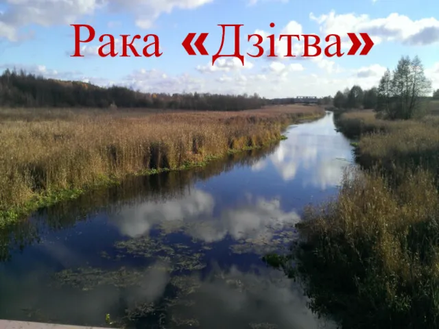 Рака «Дзітва»