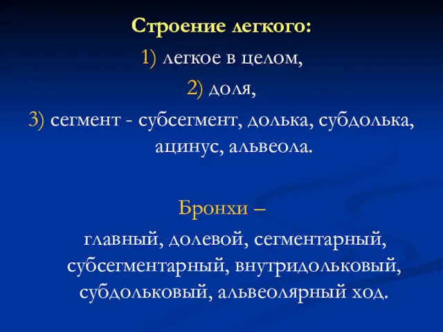 Строение легкого: 1) легкое в целом, 2) доля, 3) сегмент