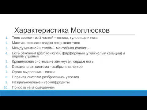 Характеристика Моллюсков Тело состоит из 3 частей – голова, туловище