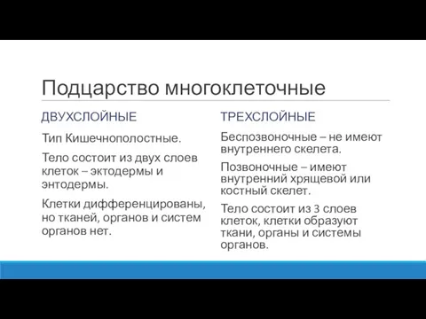 Подцарство многоклеточные ДВУХСЛОЙНЫЕ Тип Кишечнополостные. Тело состоит из двух слоев