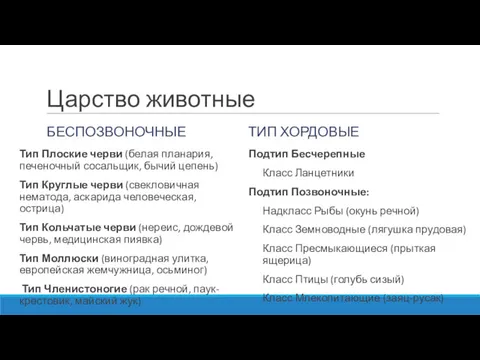 Царство животные БЕСПОЗВОНОЧНЫЕ Тип Плоские черви (белая планария, печеночный сосальщик,