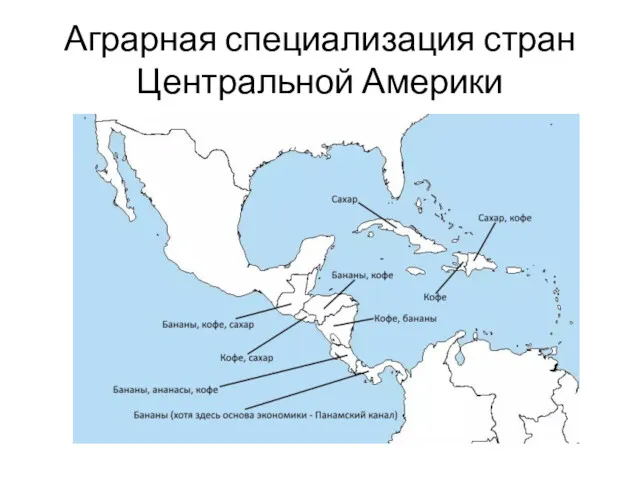 Аграрная специализация стран Центральной Америки