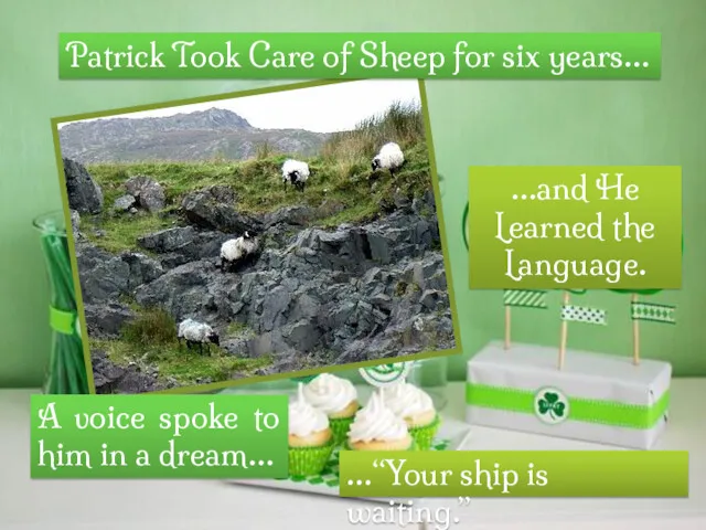 Patrick Took Care of Sheep for six years… …and He