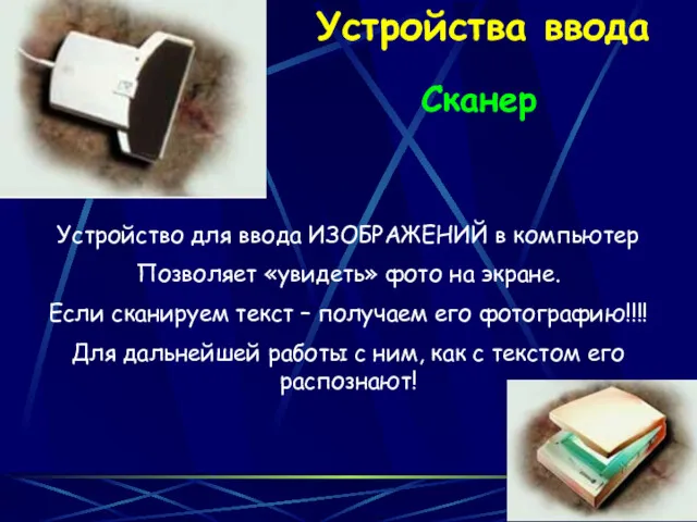 Устройства ввода Сканер Устройство для ввода ИЗОБРАЖЕНИЙ в компьютер Позволяет