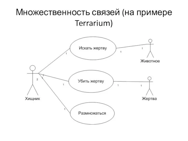 Множественность связей (на примере Terrarium)