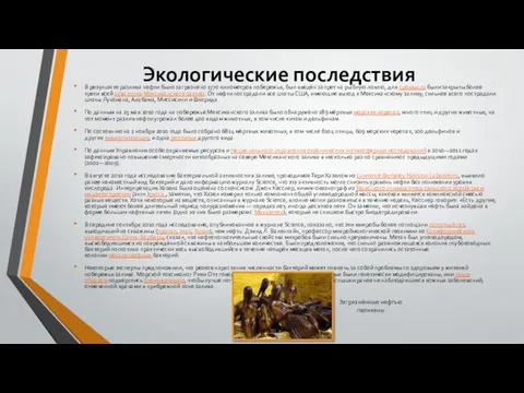 Экологические последствия В результате разлива нефти было загрязнено 1770 километров