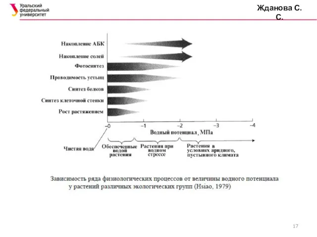 Жданова С.С.