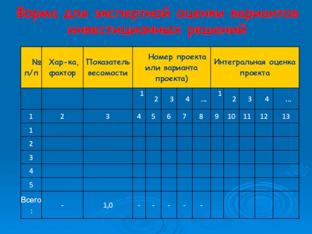 Форма для экспертной оценки вариантов инвестиционных решений