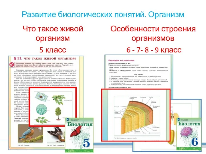 Развитие биологических понятий. Организм Что такое живой организм 5 класс