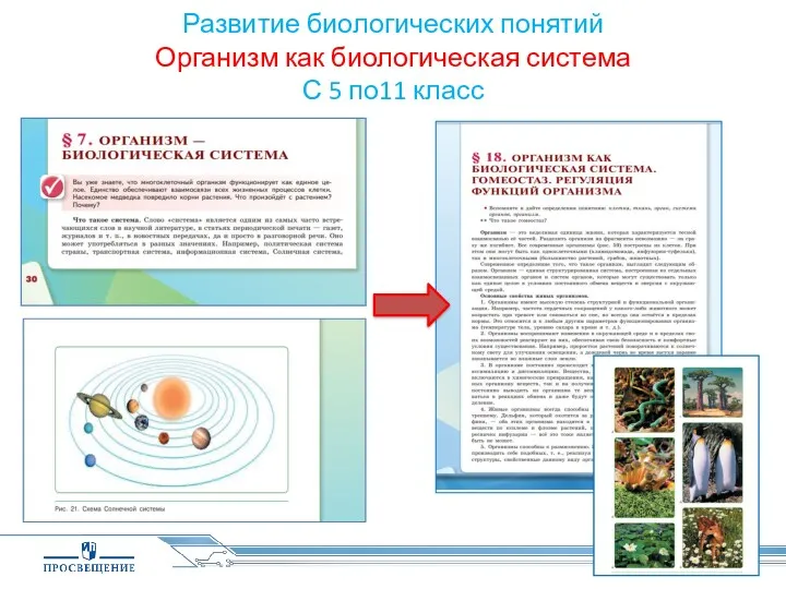 Развитие биологических понятий Организм как биологическая система С 5 по11 класс