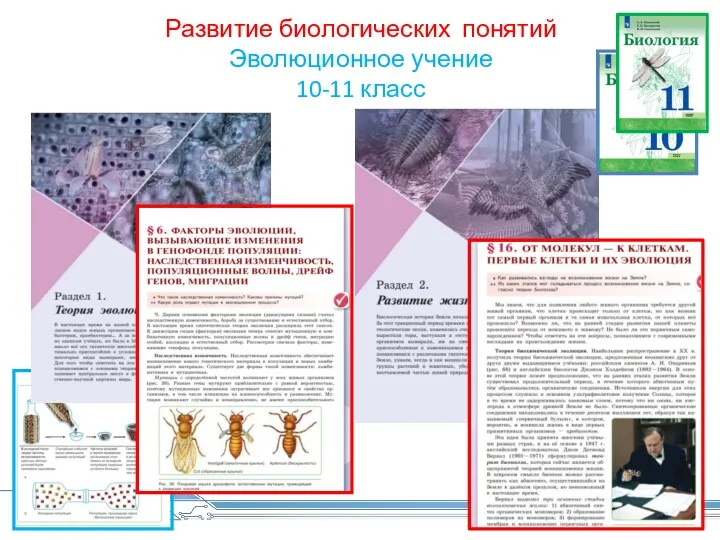 Развитие биологических понятий Эволюционное учение 10-11 класс