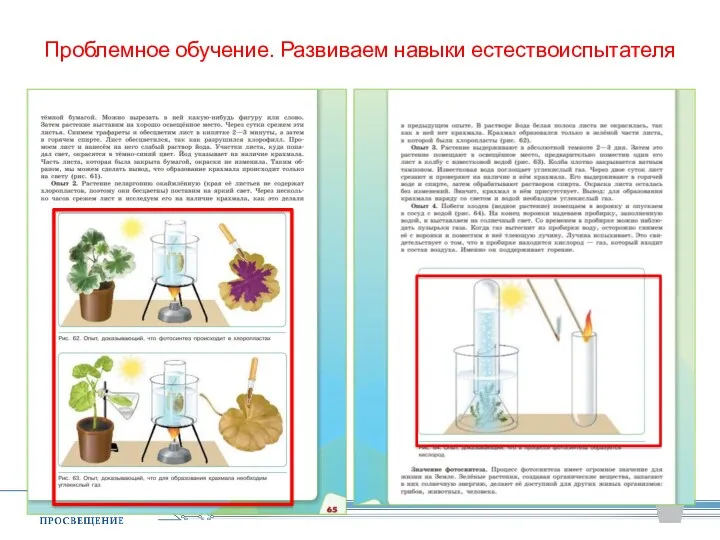 Проблемное обучение. Развиваем навыки естествоиспытателя