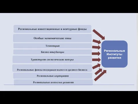 Региональные инвестиционные и венчурные фонды Особые экономические зоны Технопарки Региональные