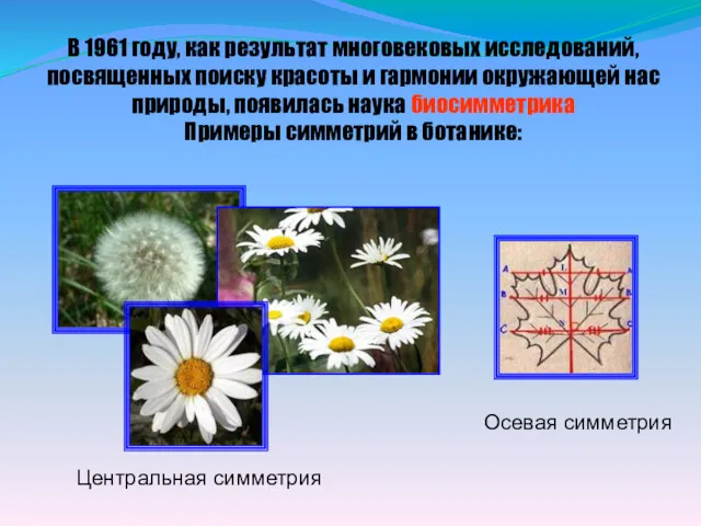 В 1961 году, как результат многовековых исследований, посвященных поиску красоты