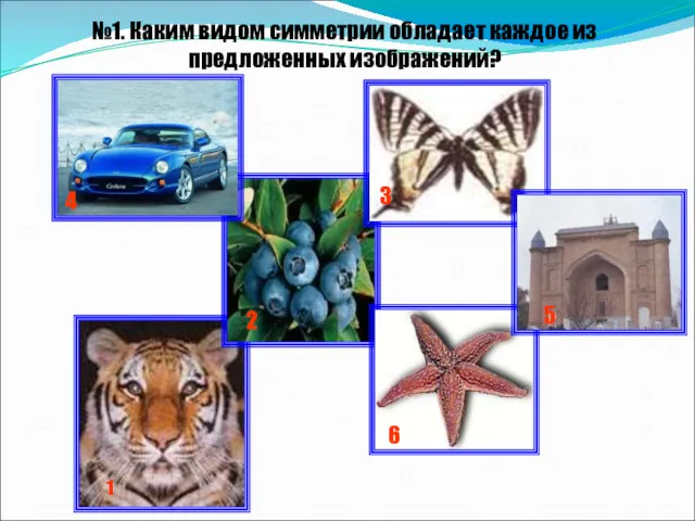 №1. Каким видом симметрии обладает каждое из предложенных изображений? 1 2 3 4 5 6