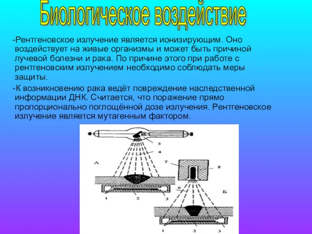 -Рентгеновское излучение является ионизирующим. Оно воздействует на живые организмы и может быть причиной