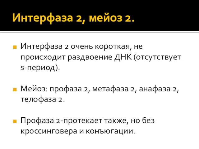 Интерфаза 2, мейоз 2. Интерфаза 2 очень короткая, не происходит