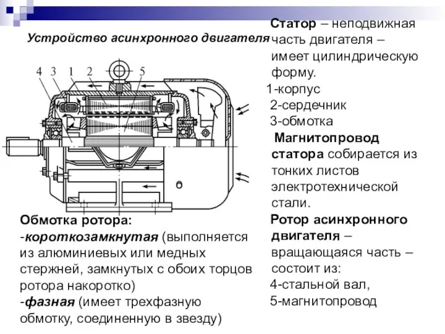 Устройство асинхронного двигателя Статор – неподвижная часть двигателя – имеет